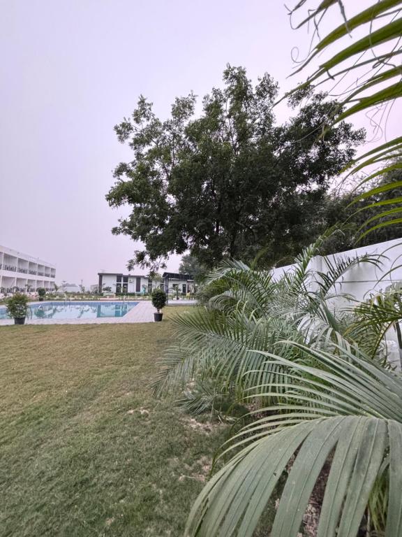 a park with a tree and a swimming pool at Inara Farms in Lucknow
