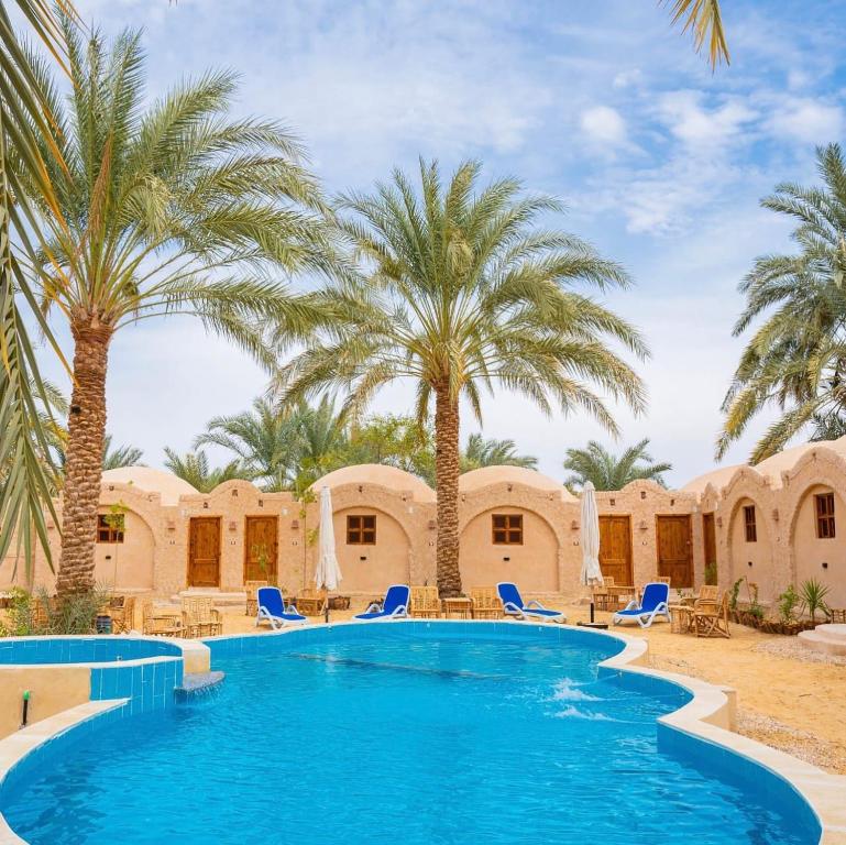 un complexe avec une piscine bordée de palmiers dans l'établissement Siwa Palace Lodge, à Siwa