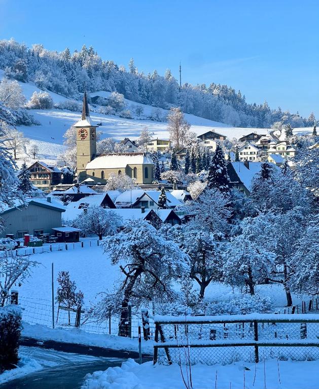 Apartment im Emmental im Winter