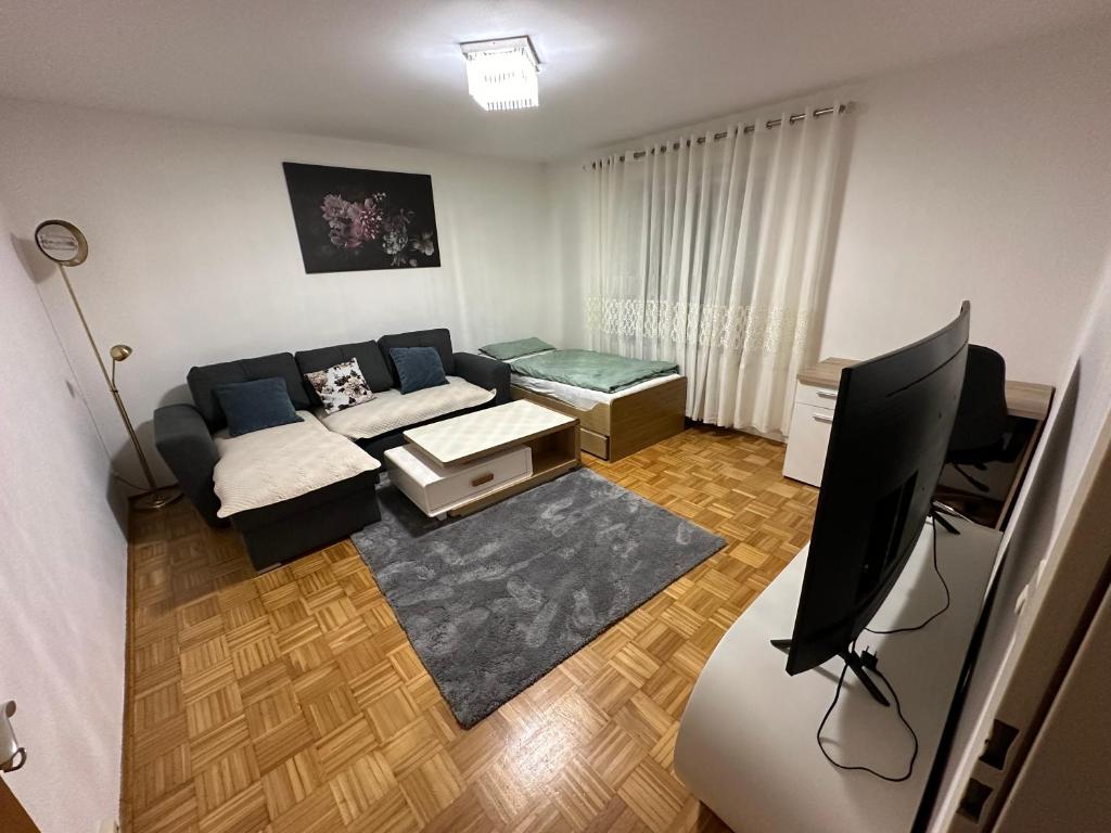 - un salon avec un canapé et une télévision dans l'établissement Stilvolle 2-Zimmer-Anliegerwohnung in Tuttlingen, à Tuttlingen