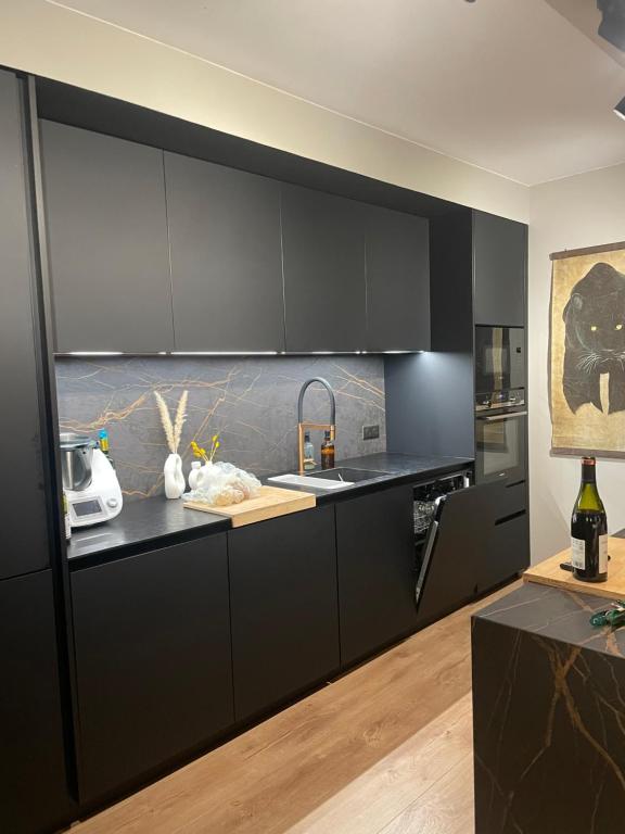 - une cuisine avec des placards noirs et un évier dans l'établissement Superbe appartement haut de gamme centre ville, au Mans