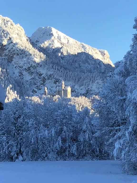 una montaña cubierta de nieve con un castillo encima de ella en Haus Osterried en Schwangau