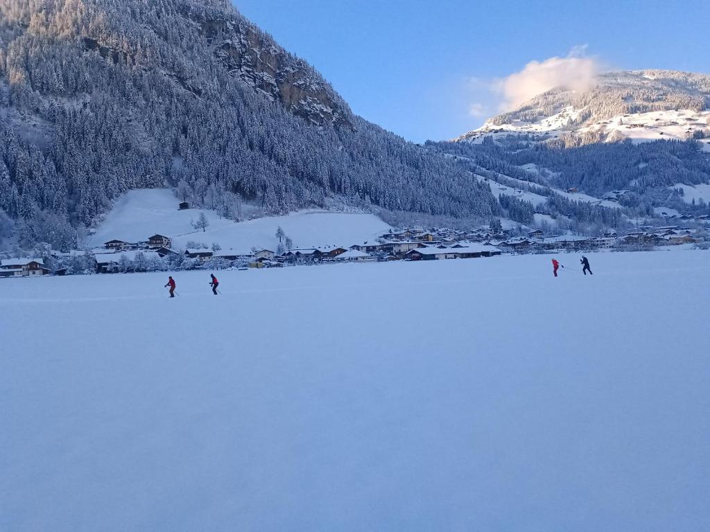 Alpenoase v zimě