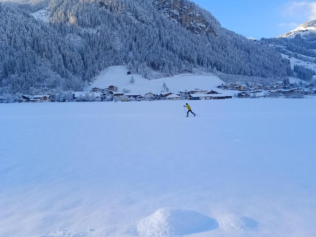 Alpenoase v zimě