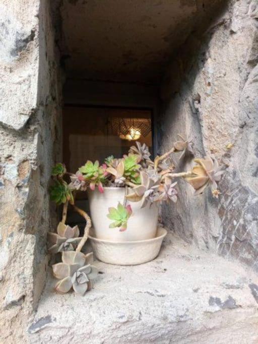 Fotografie z fotogalerie ubytování La Casetta di Barzio v destinaci Barzio