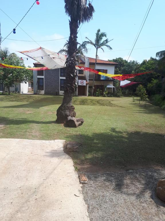 una palmera en un patio con un edificio en Terapias integrativas do Sandrin, en Jundiaí