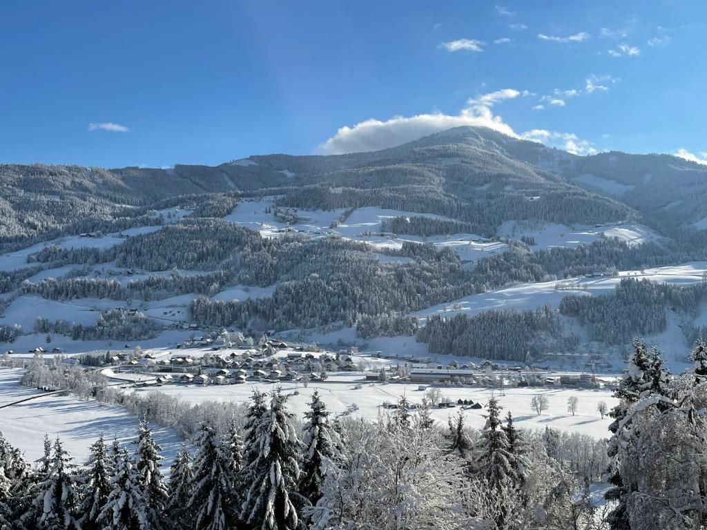 Haus Bodenwinkler - 15