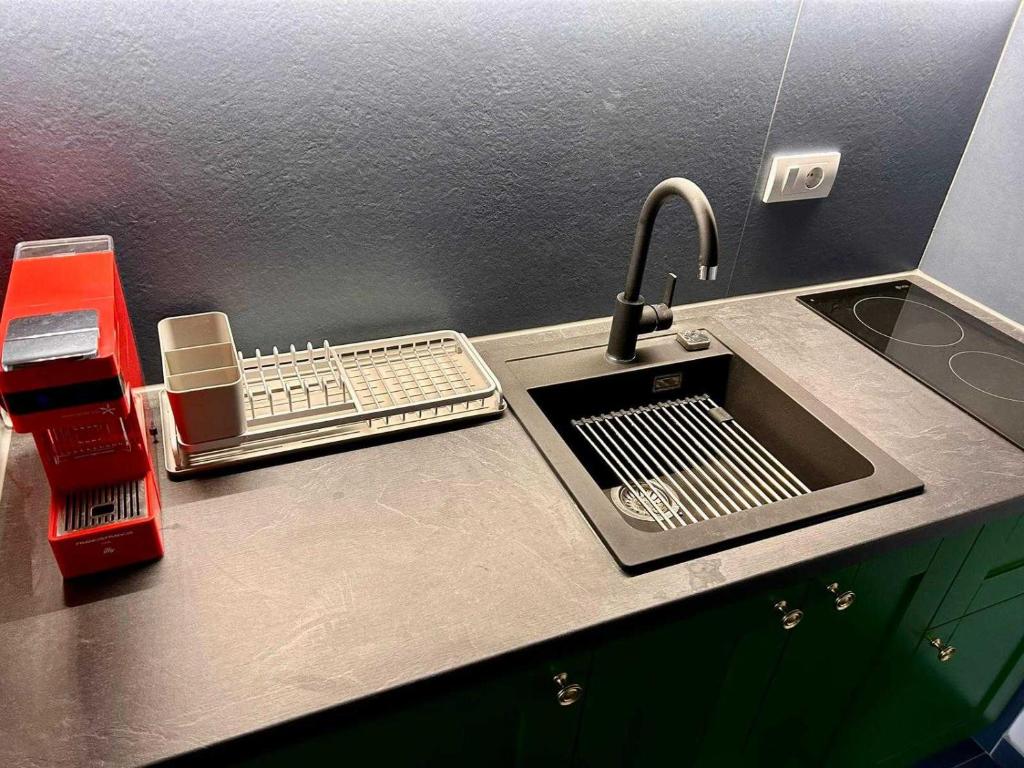 a kitchen counter with a sink and a dish drying rack at Pale Green in Pale