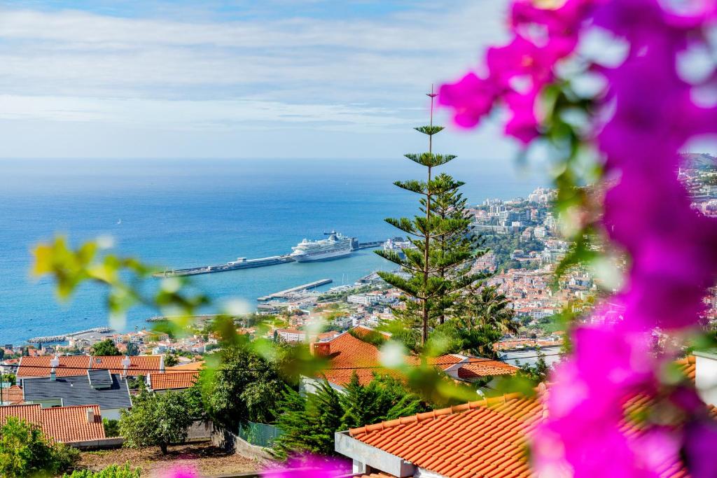 Bild i bildgalleri på Ana's Place i Funchal