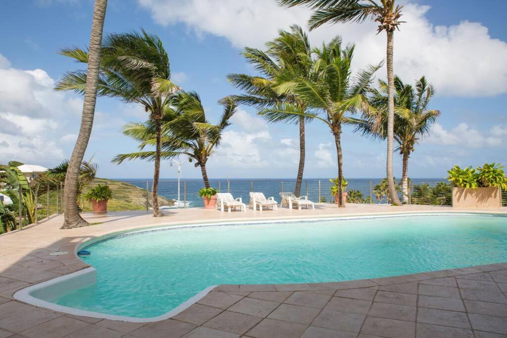 a swimming pool with palm trees and the ocean at Breathtaking ocean views in Judiths Fancy in La Grande Princesse