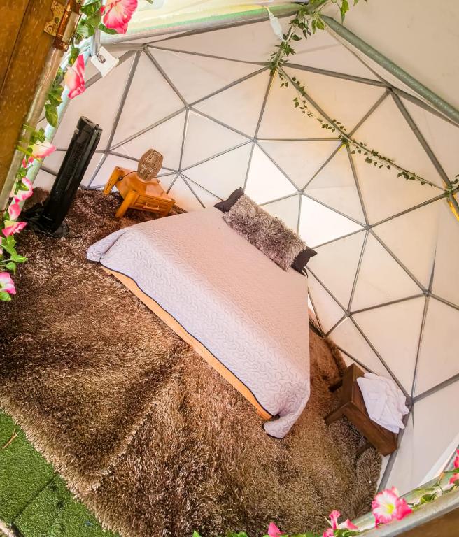 Ένα ή περισσότερα κρεβάτια σε δωμάτιο στο Hostel paraiso de colores