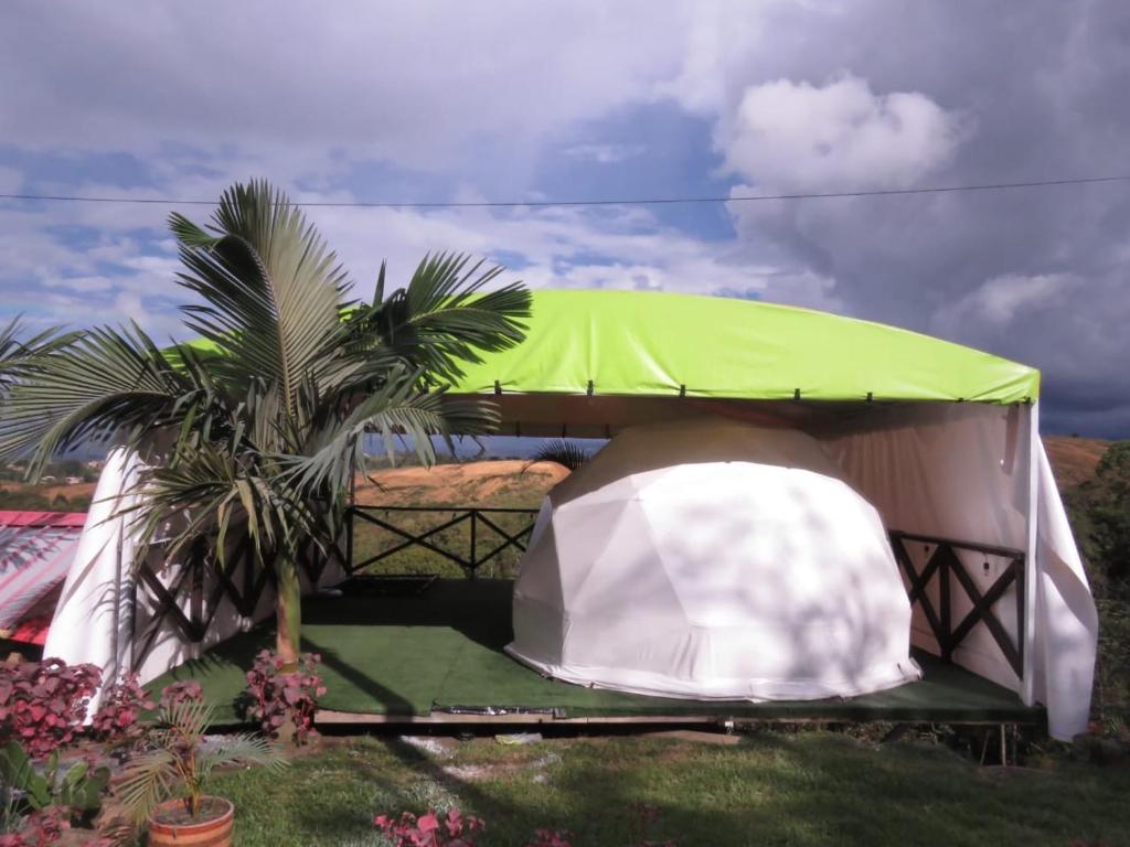 Κήπος έξω από το Hostel paraiso de colores