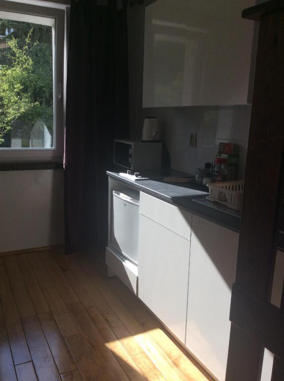 Kuchyňa alebo kuchynka v ubytovaní mika rooms - 22 Korotynskiego Street