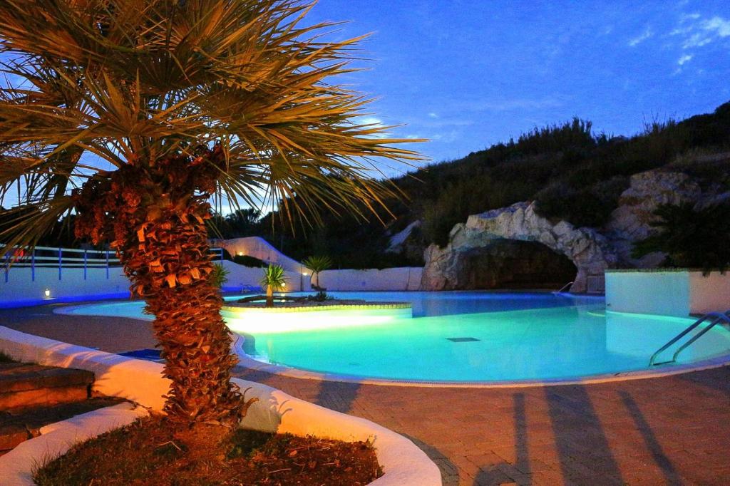 eine Palme vor einem Pool mit Lichtern in der Unterkunft Charme Suite B&B Experience in Santa Teresa Gallura