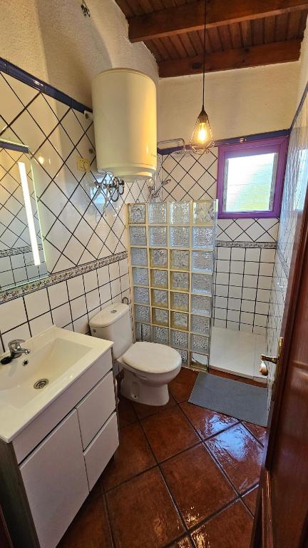 a bathroom with a toilet and a sink at Los Cerrajones: spectacular views from the cliff in Agulo