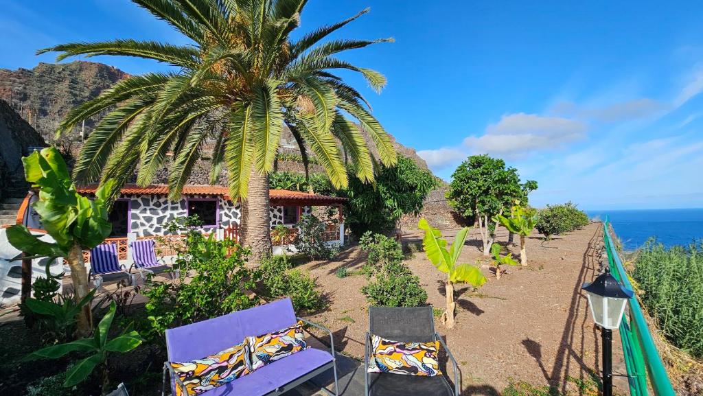 a resort with chairs and a palm tree and the ocean at Los Cerrajones: spectacular views from the cliff in Agulo