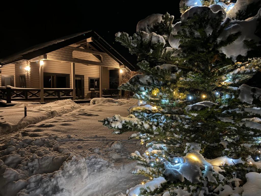 a christmas tree covered in snow in front of a cabin at Dore in Lielvārde