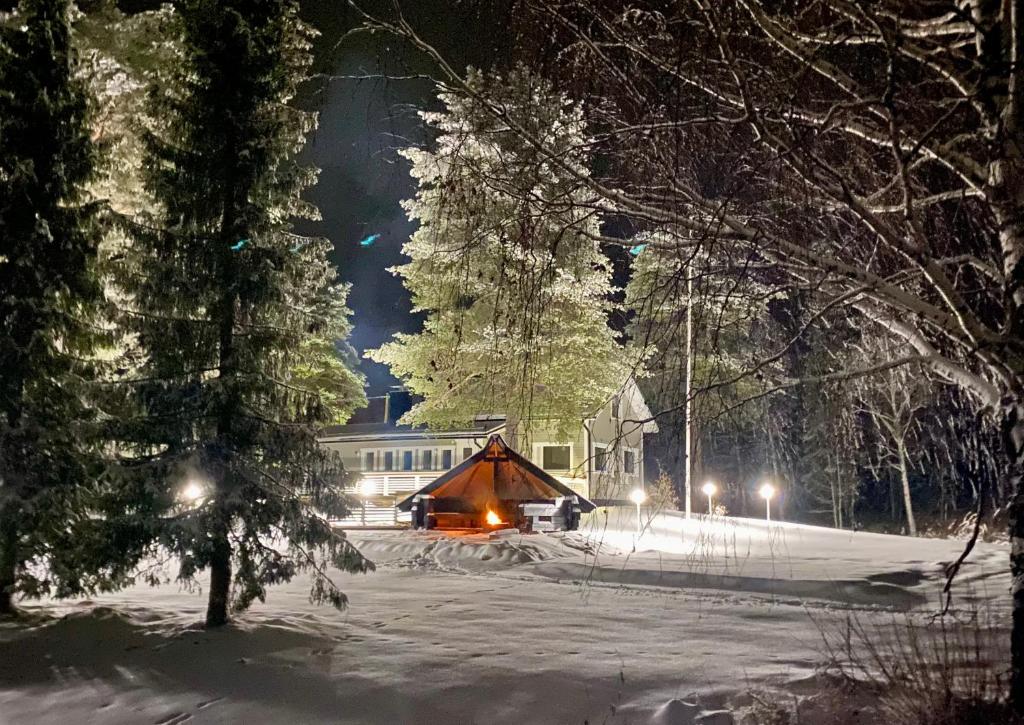 a cabin in the snow at night at Chalet Mummola in Naamijoki