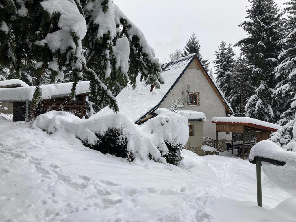 Chata Alšovka v zimě