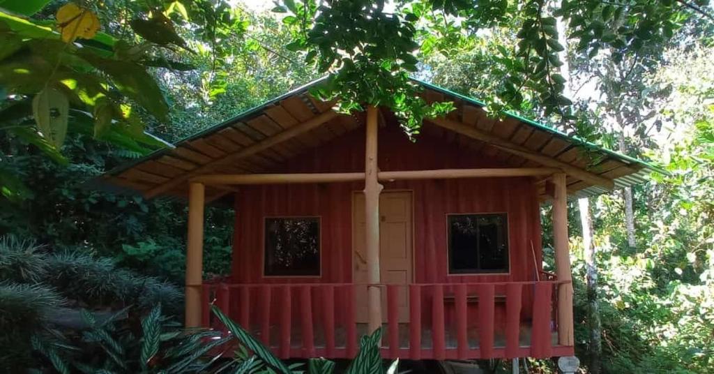 una pequeña cabaña roja en medio de un bosque en Cabaña De Montaña, en Aguas Claras