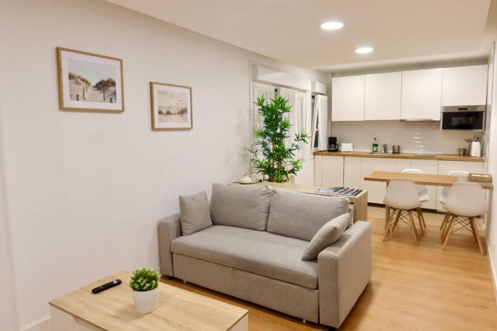 a living room with a couch and a kitchen at ÓPERA CAMPOAMOR (CENTRO CIUDAD, PLAZA DE GARAJE) in Oviedo