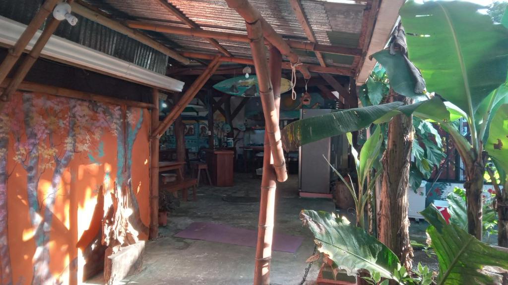 Fotografie z fotogalerie ubytování OSA SURF House v destinaci Puerto Jiménez