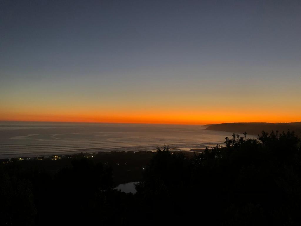 Forest Hill Wilderness - Image 12