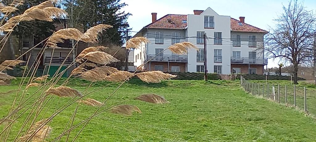 een groot wit huis met een grasveld bij Onix-Vital Apartman Orfű in Orfű