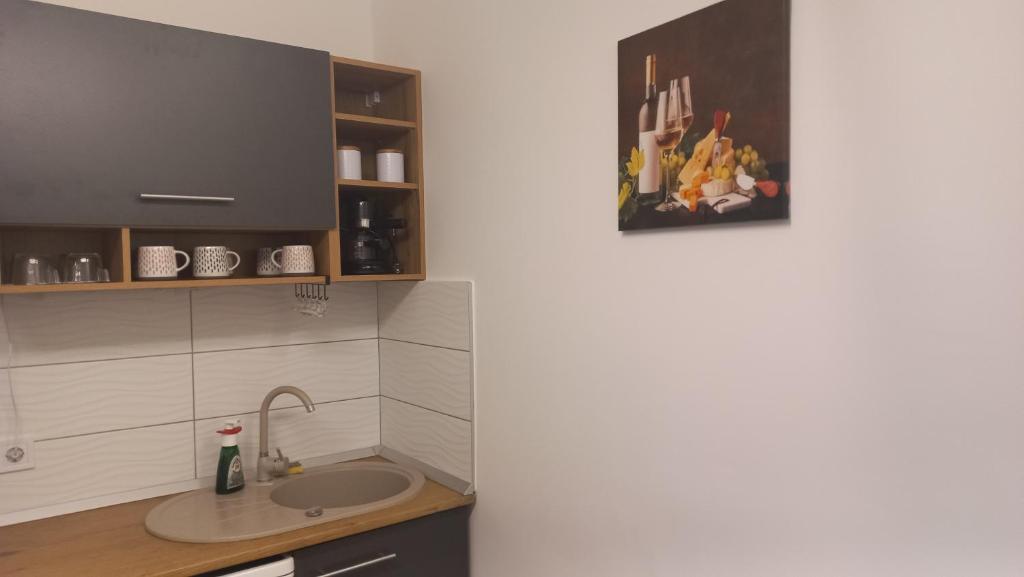 Kuchyň nebo kuchyňský kout v ubytování Onix-Vital Apartman Orfű