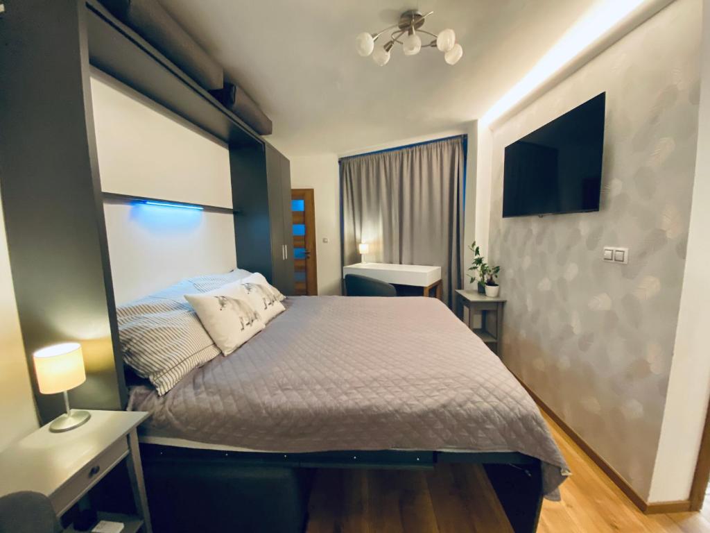 1 dormitorio con 1 cama y TV en Cozy Apt Near Prague Castle en Praga