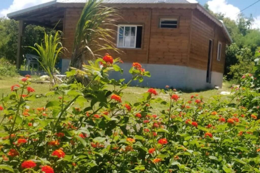 Zahrada ubytování Villa Anse Maurice et SPA