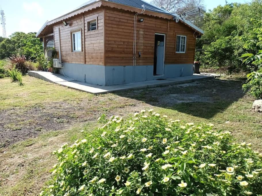 Zahrada ubytování Villa Anse Maurice et SPA