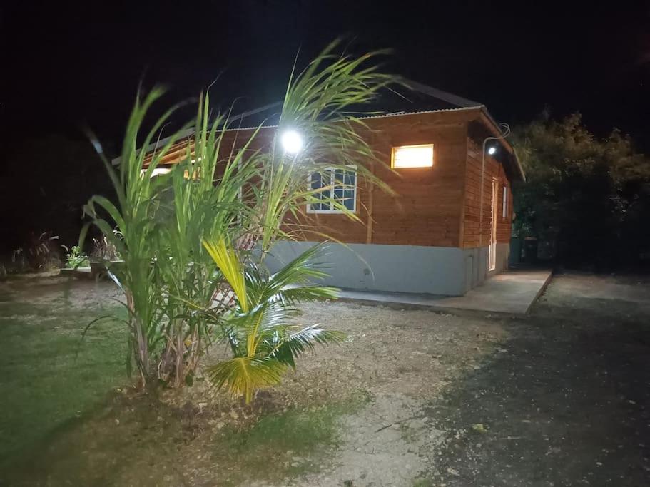 Zahrada ubytování Villa Anse Maurice et SPA