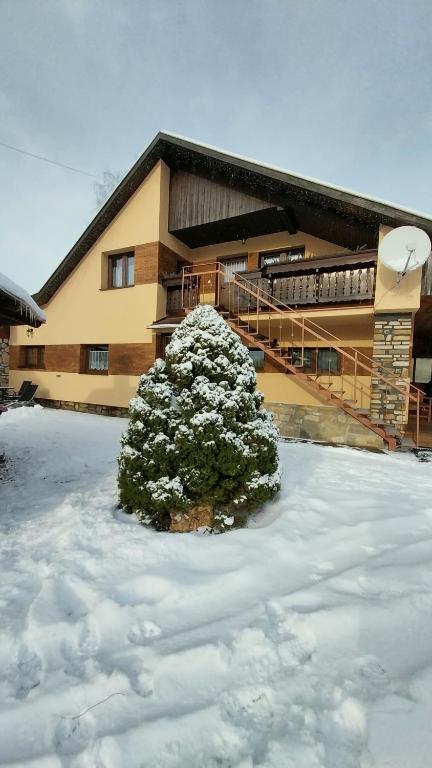 a snow covered tree in front of a building at Privát Prima in Liptovský Ján