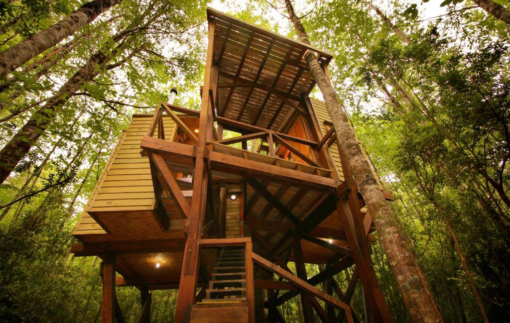 a tree house in the middle of the forest at Casita Arbol in Puerto Fuy