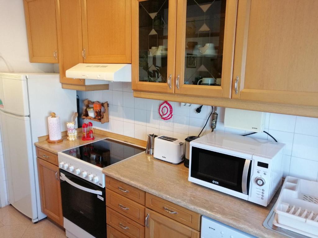 a kitchen counter with a microwave and a refrigerator at Apartma Bomar in Koper