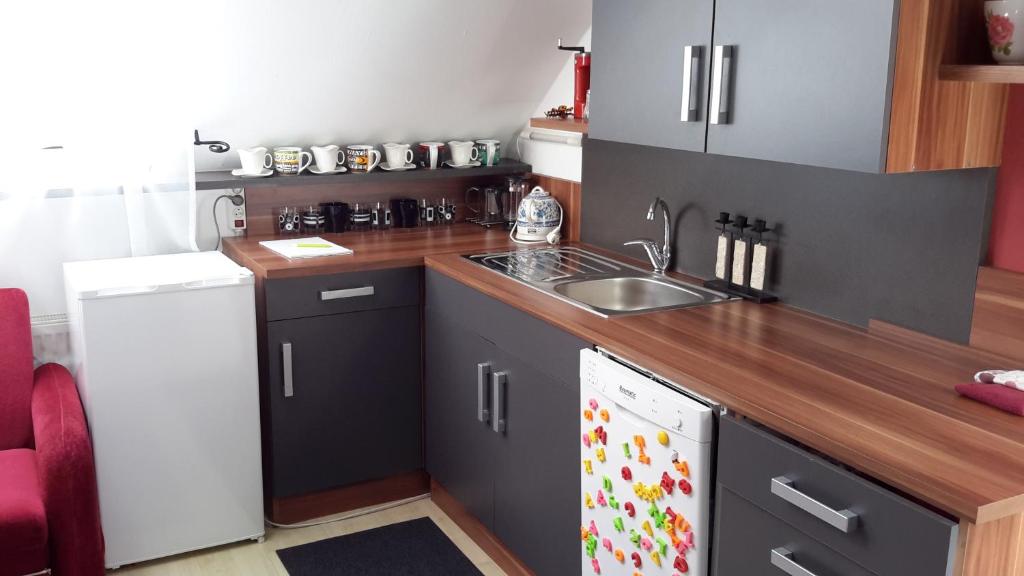 Kuchyň nebo kuchyňský kout v ubytování Homestay Kuchařovice