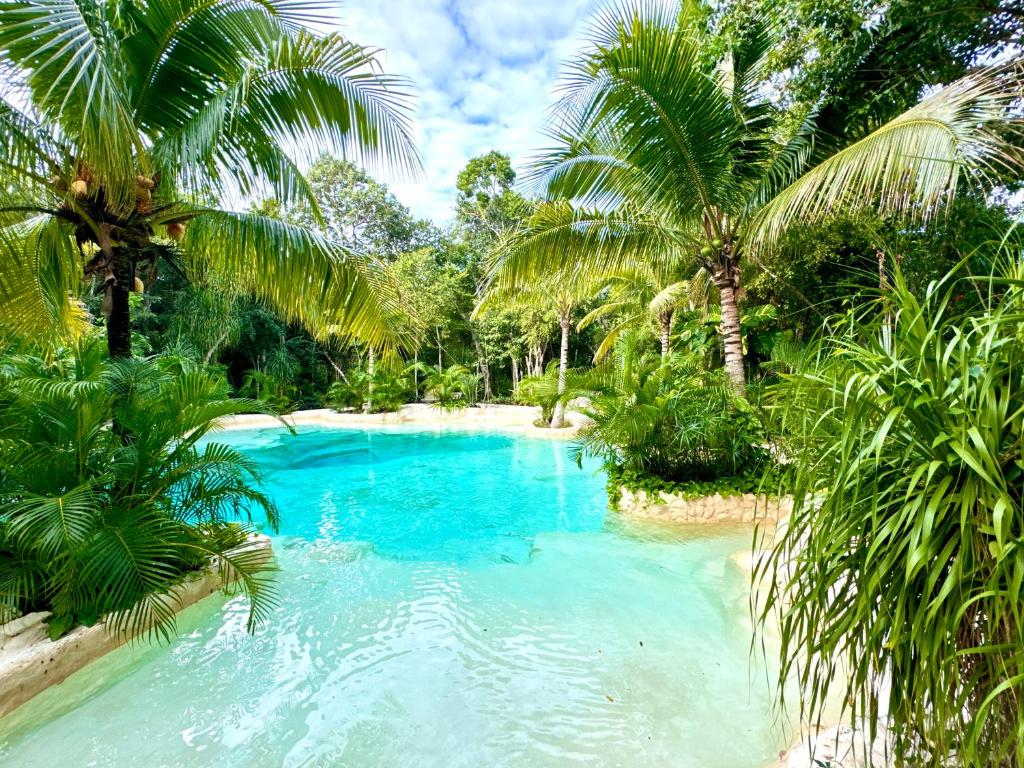 una piscina en medio de una selva con palmeras en Bunga Lotus Glamping - Otoch Nacom en Tulum