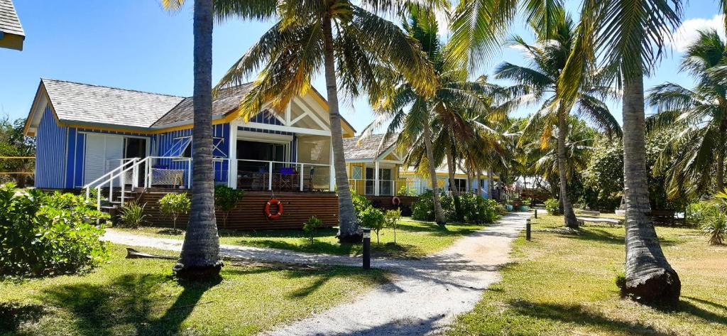 的住宿－Beach House Lodge，前面有棕榈树的房子