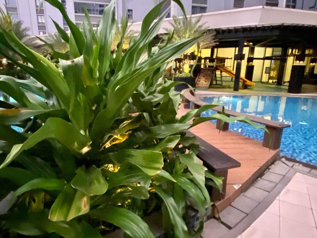 馬尼拉的住宿－Penthouse Perfection，游泳池旁的绿色植物