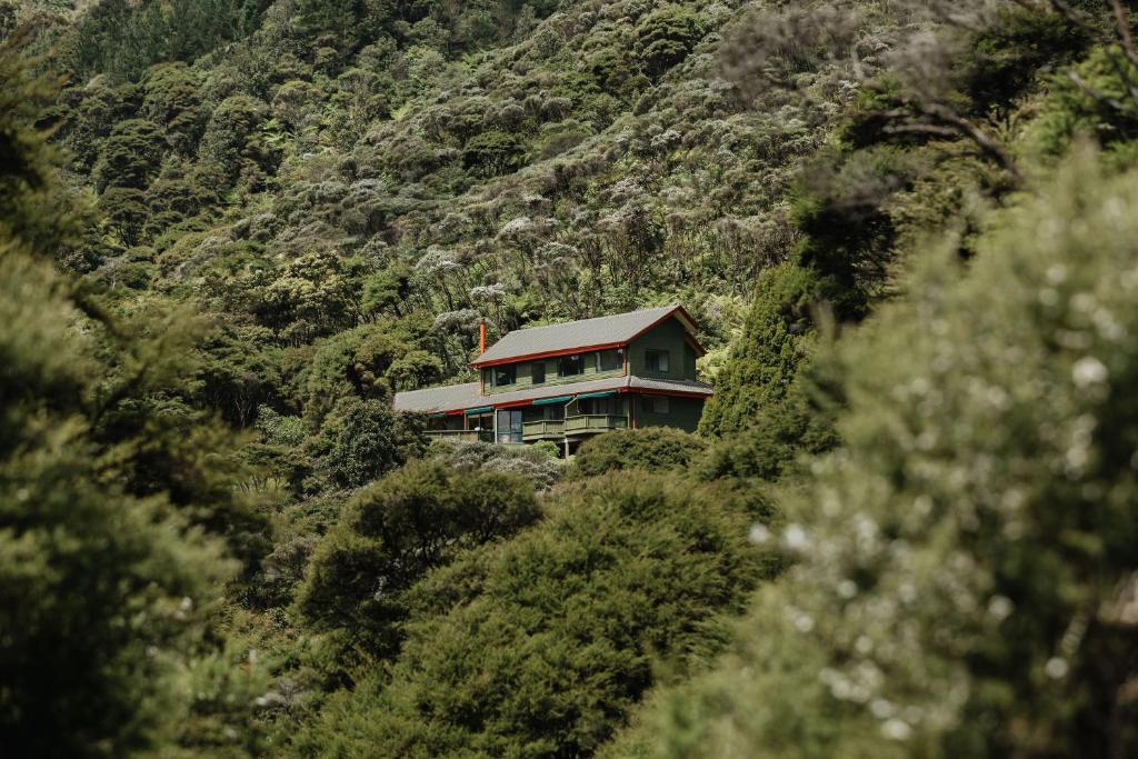 a house in the middle of a mountain at Buffalo Lodge in Coromandel Town