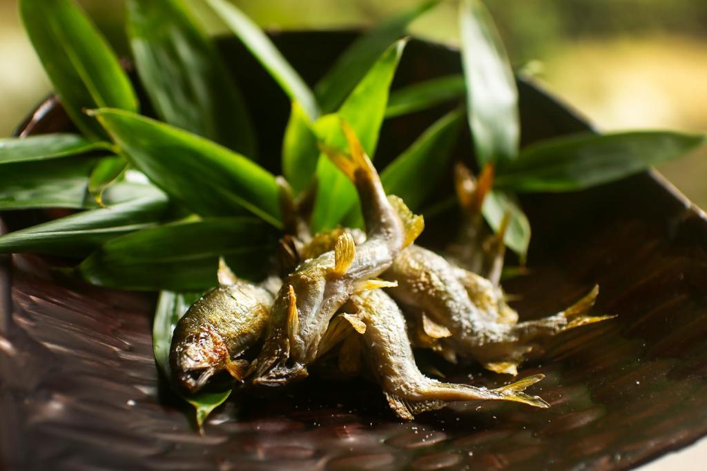 Fotografie z fotogalerie ubytování 川魚・山菜料理　和田屋 v destinaci Hakusan
