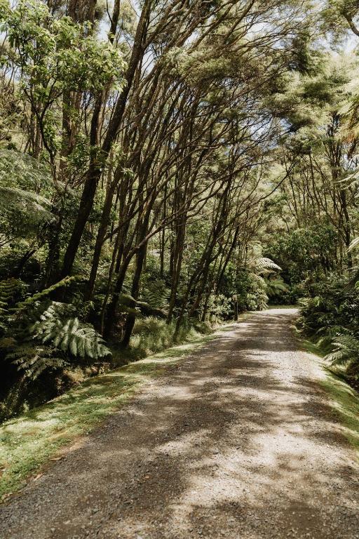 Buffalo Lodge - Resim 30