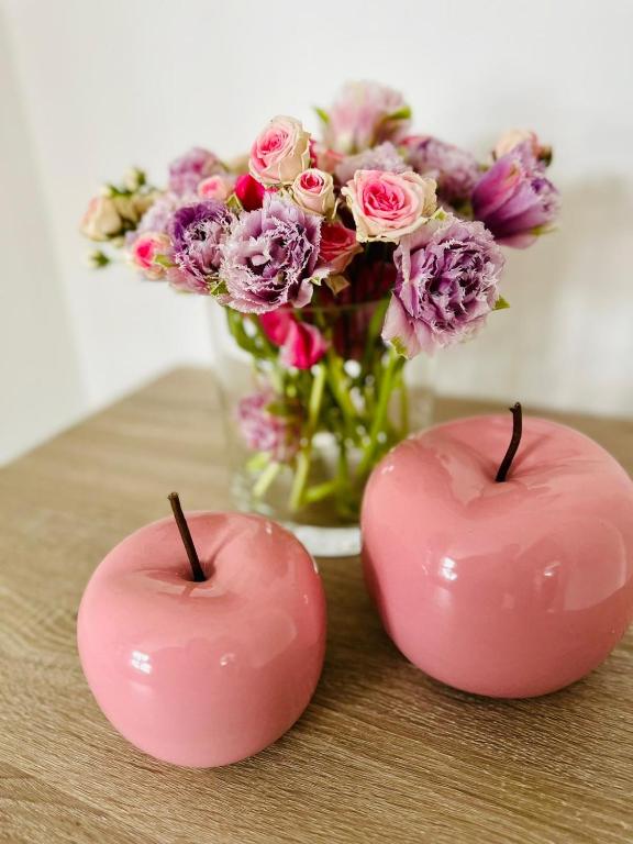 Studio Reichenstrasse - 18