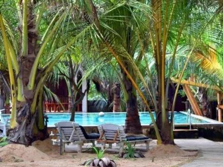una piscina con sedie e palme di fronte di The Alpha Monkey hotel & Tree house a Tangalle