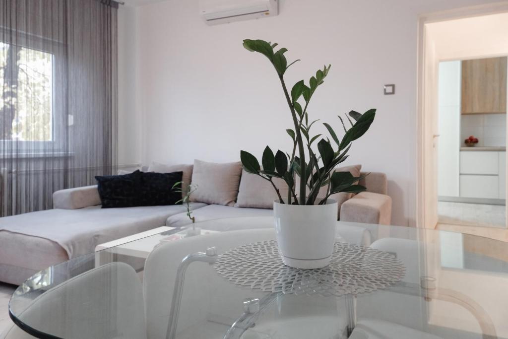 Posezení v ubytování Apartman Franko - SELF CHECK IN
