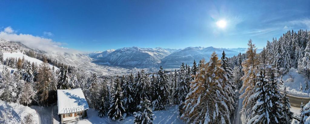 a view of a snow covered mountain with trees at Colorado Riders Chalet in Crans-Montana