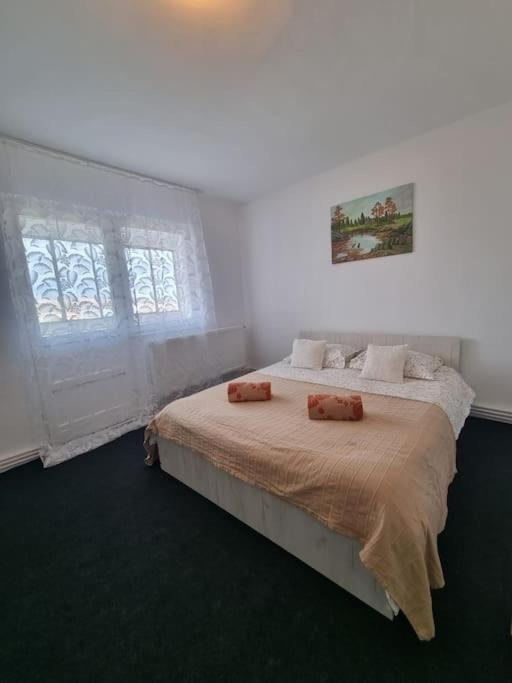 una camera con un letto con due cuscini sopra di Apartament cu o camera a Hunedoara