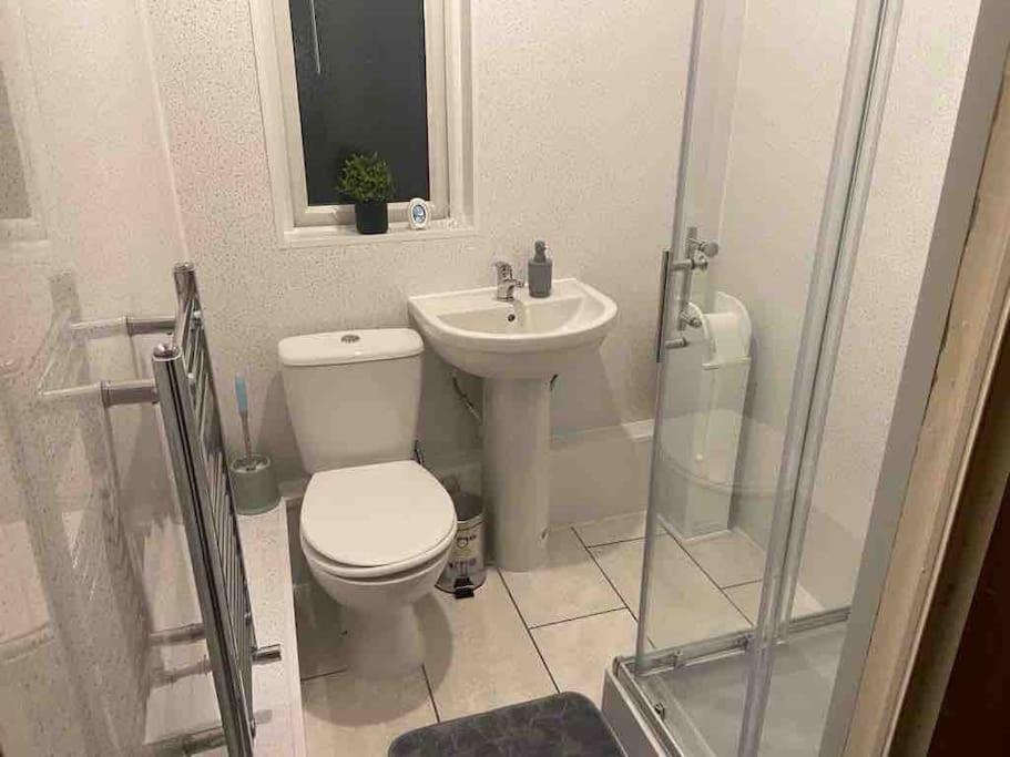 een badkamer met een toilet, een wastafel en een douche bij Cedar Lodge in Walton on the Hill
