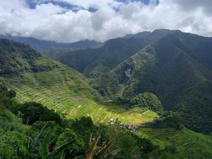 an aerial view of a mountain valley with trees at Batad Viewpoints Guesthouse and Restaurants in Banaue